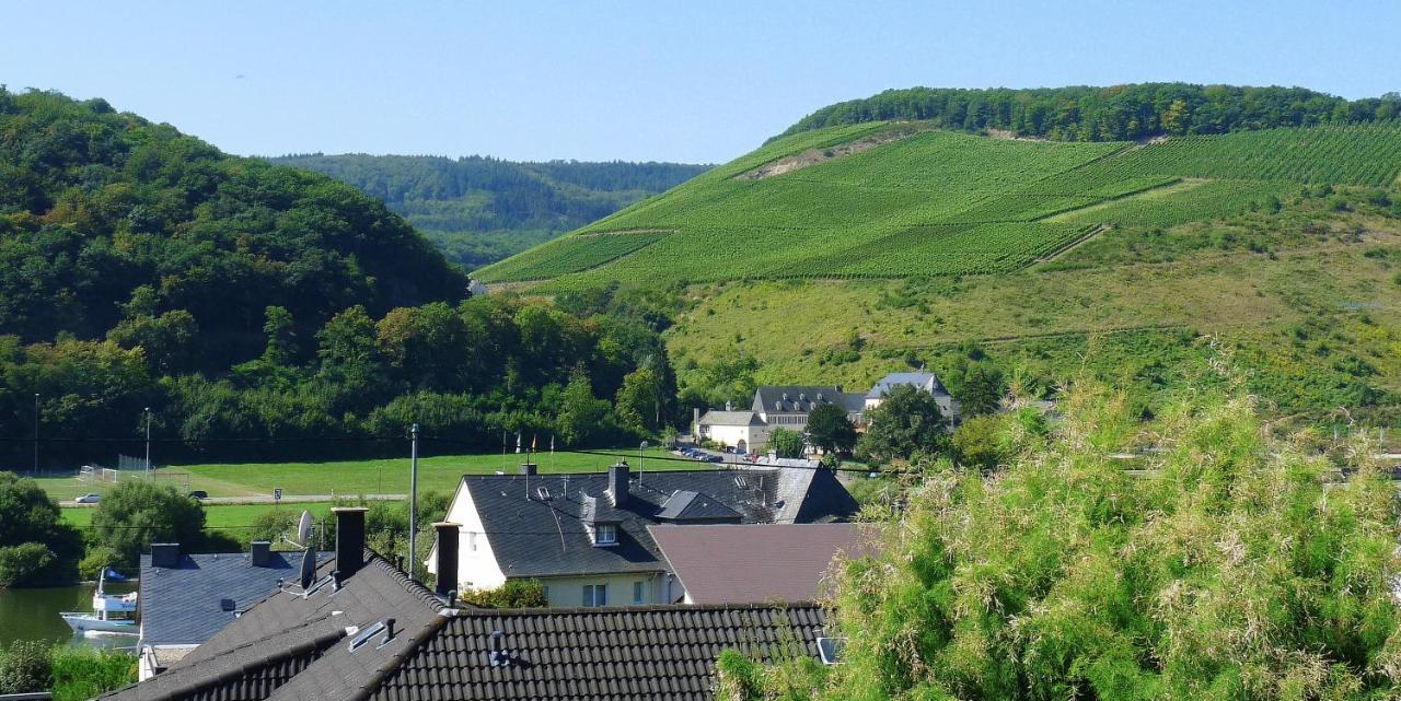 Gaestehaus Schwaab Zeltingen-Rachtig Bagian luar foto